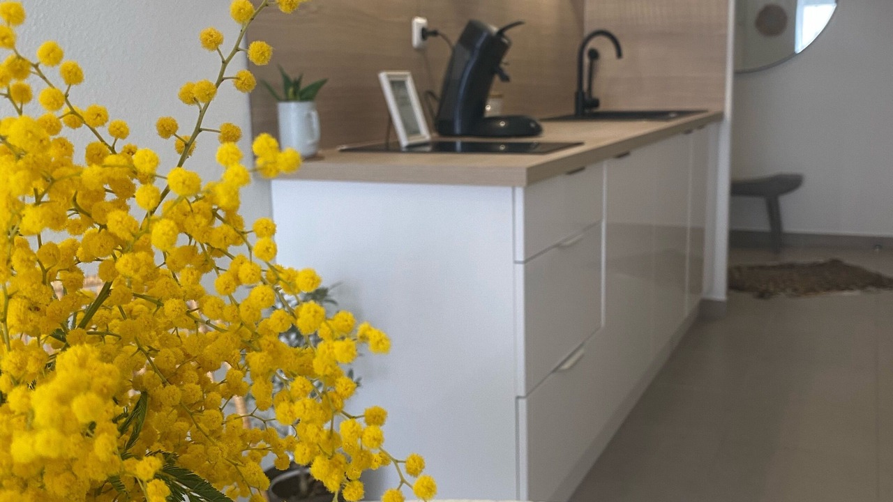 Photo of Kitchen in Palavas-les-Flots