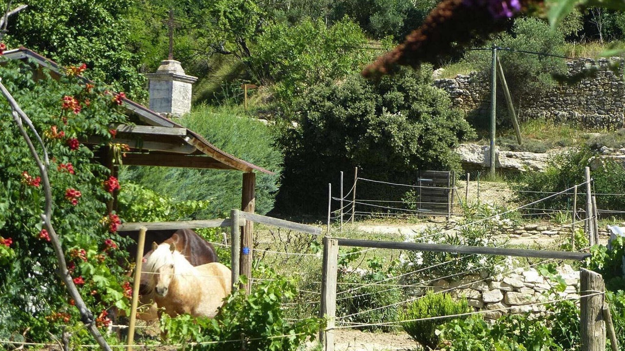 Photo of Outdoor in Vernegues