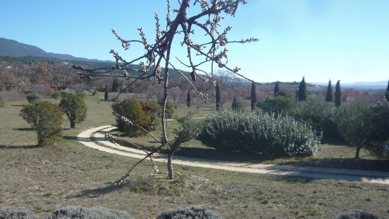 Photo of Others in Cucuron