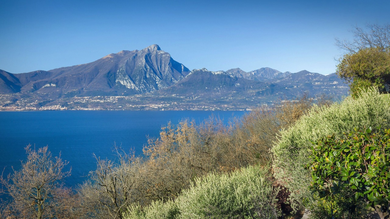 Photo of Others in Torri del Benaco