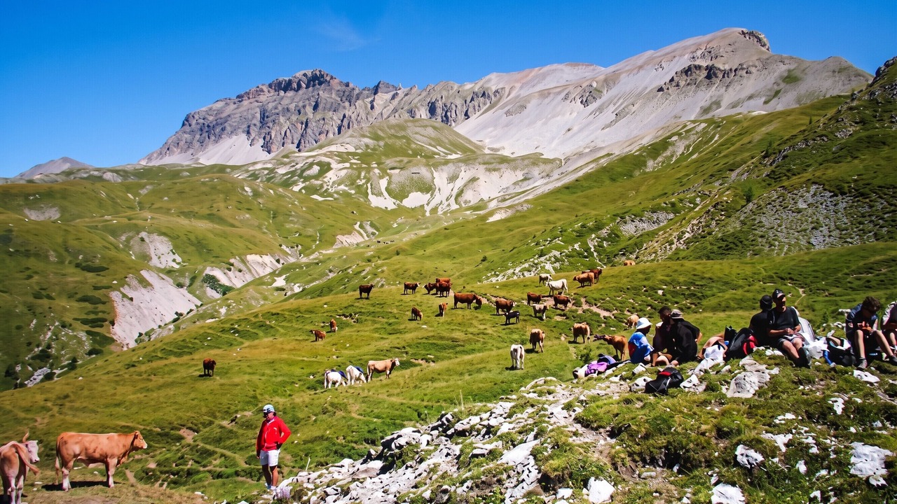 Photo of Others in Selonnet