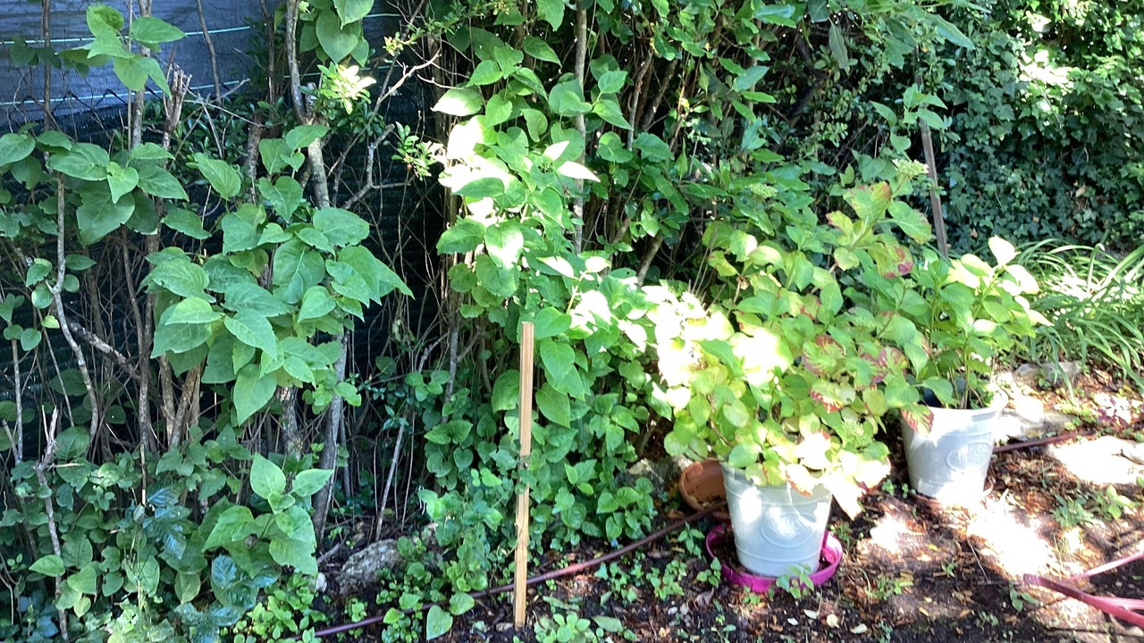 Photo of Outdoor in Vacheres