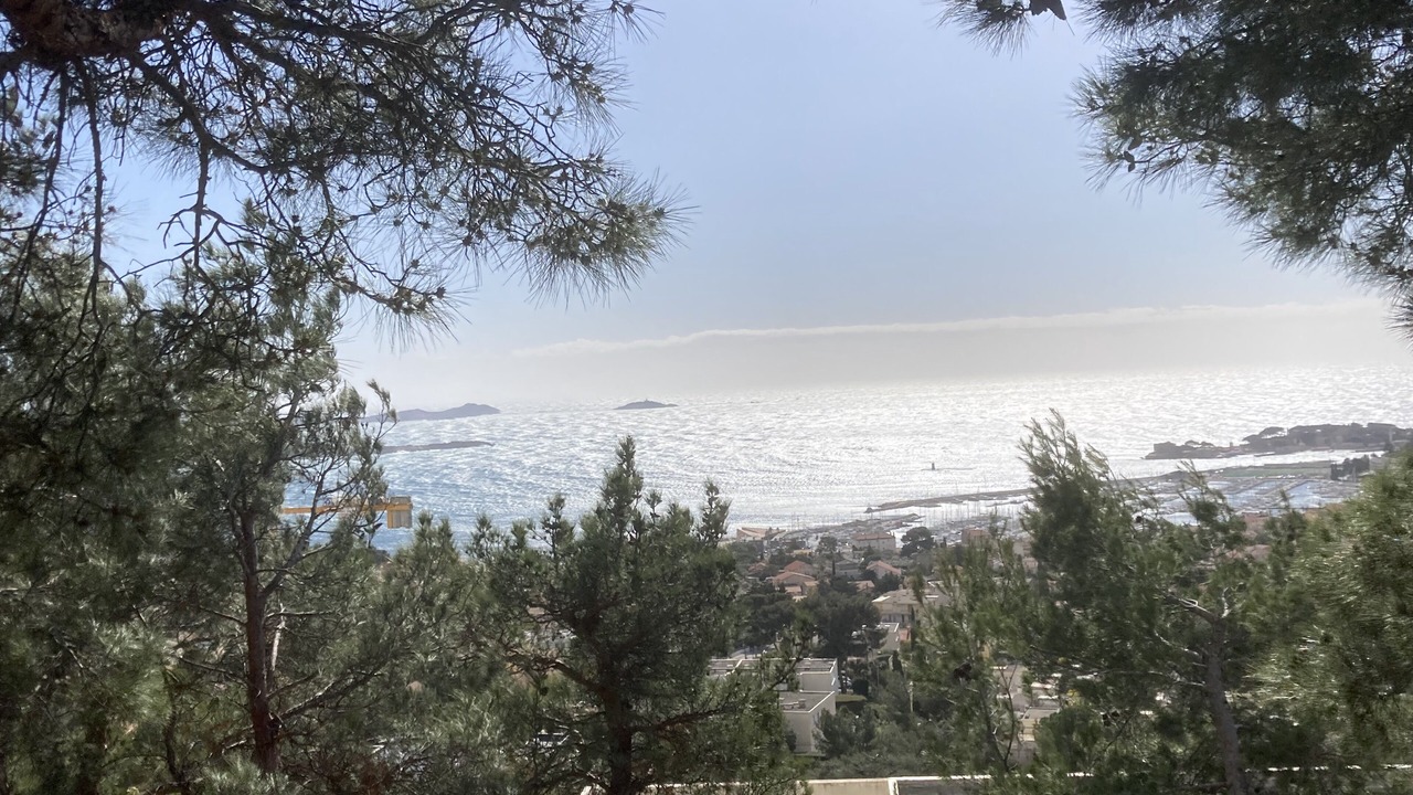 Photo of Others in Bandol