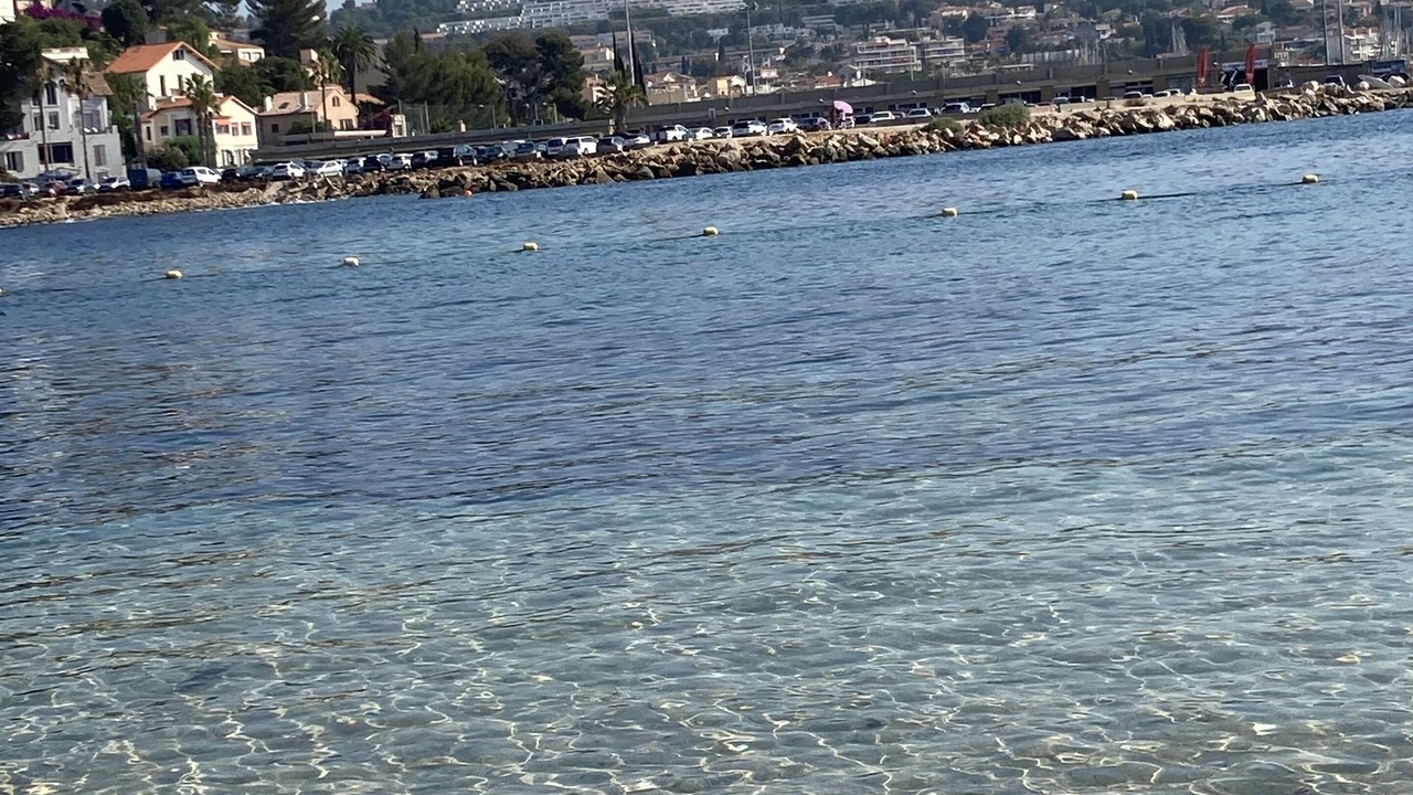 Photo of Others in Bandol