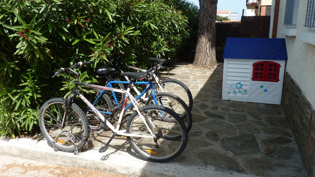 Photo of Outdoor in Saint-Cyprien Plage
