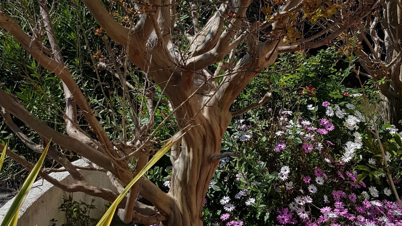 Photo of Outdoor in Mougins
