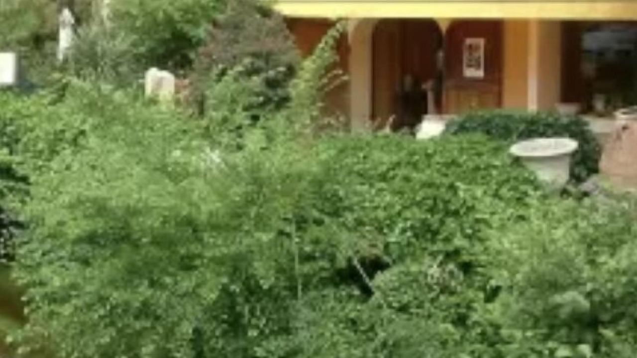 Photo of Outdoor in Lamanon
