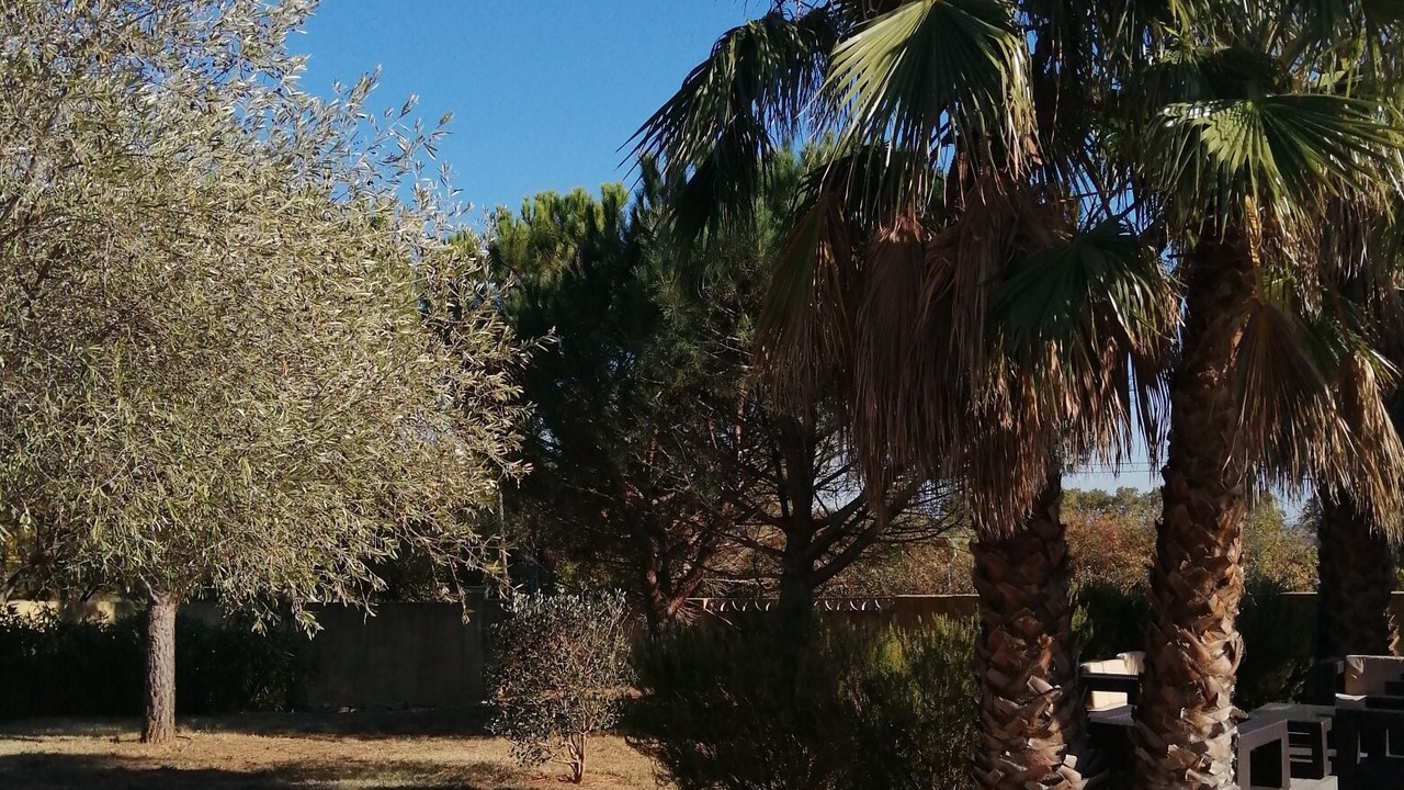 Photo of Outdoor in Valros