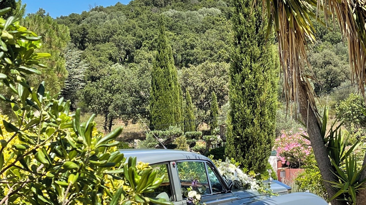 Photo of Outdoor in Hyeres