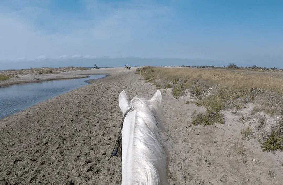 Photo of Others in Salin-de-Giraud