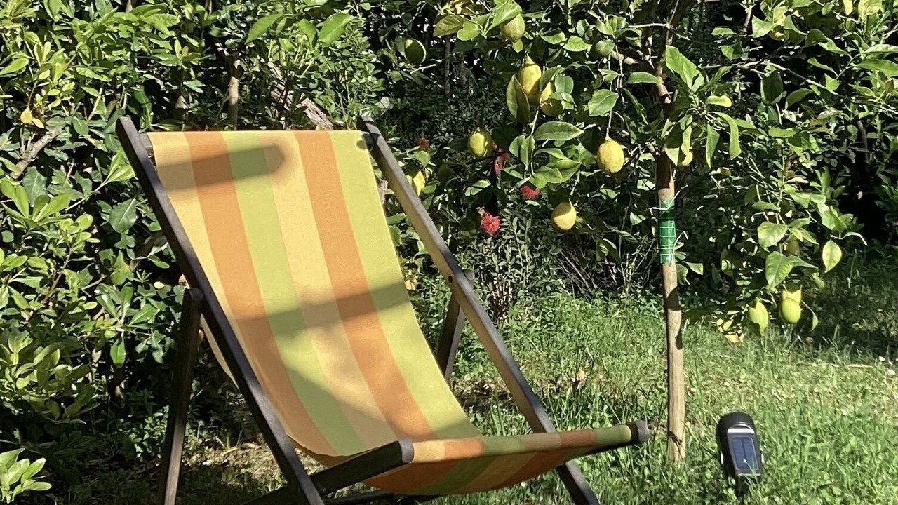 Photo of Outdoor in Cap-d'Antibes