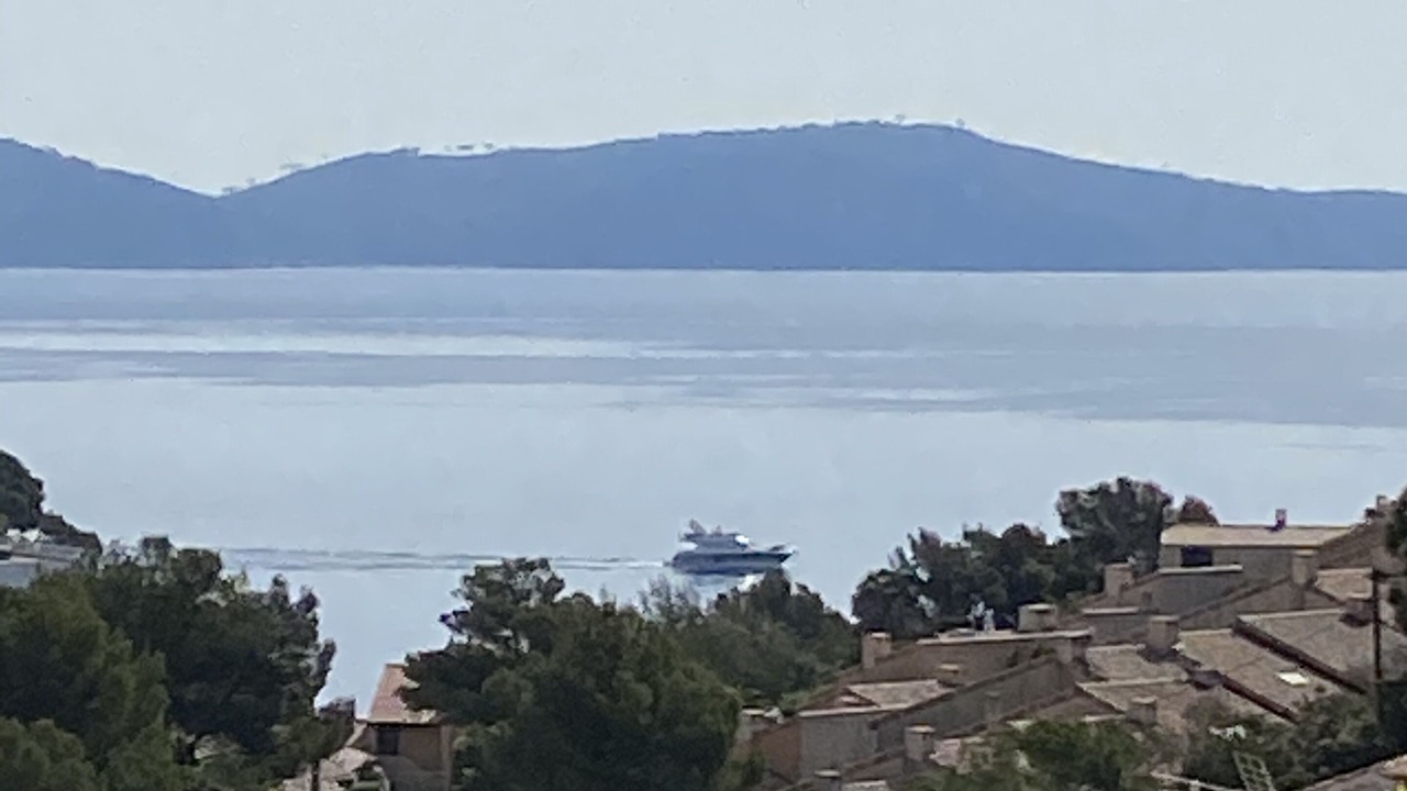 Photo of Others in Cavaliere