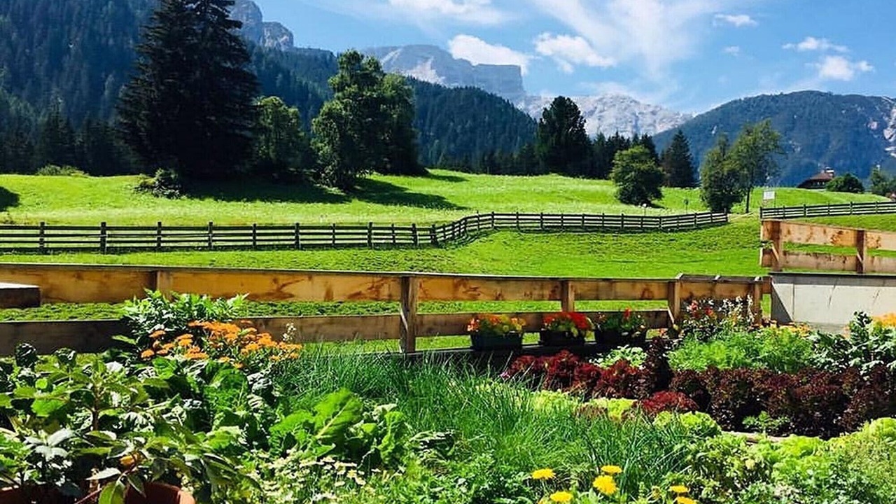 Photo of Outdoor in San Vito