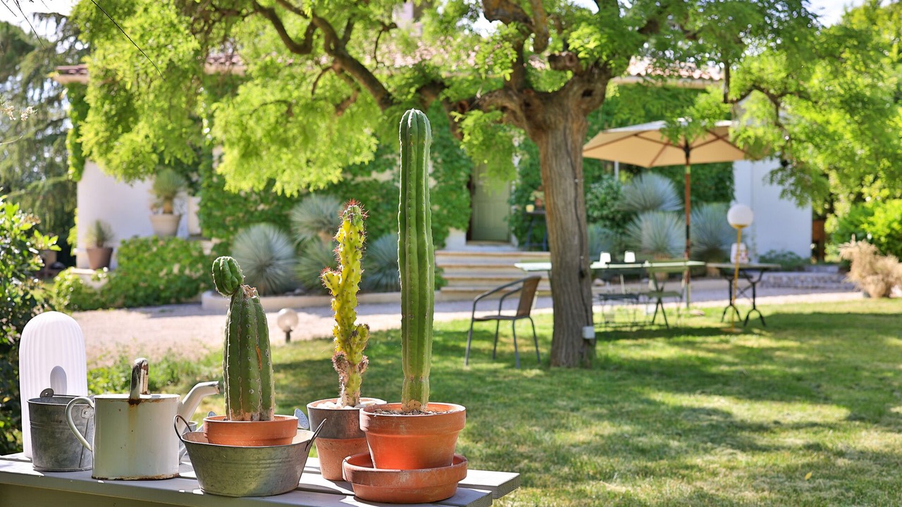 Photo of Outdoor in Eguilles