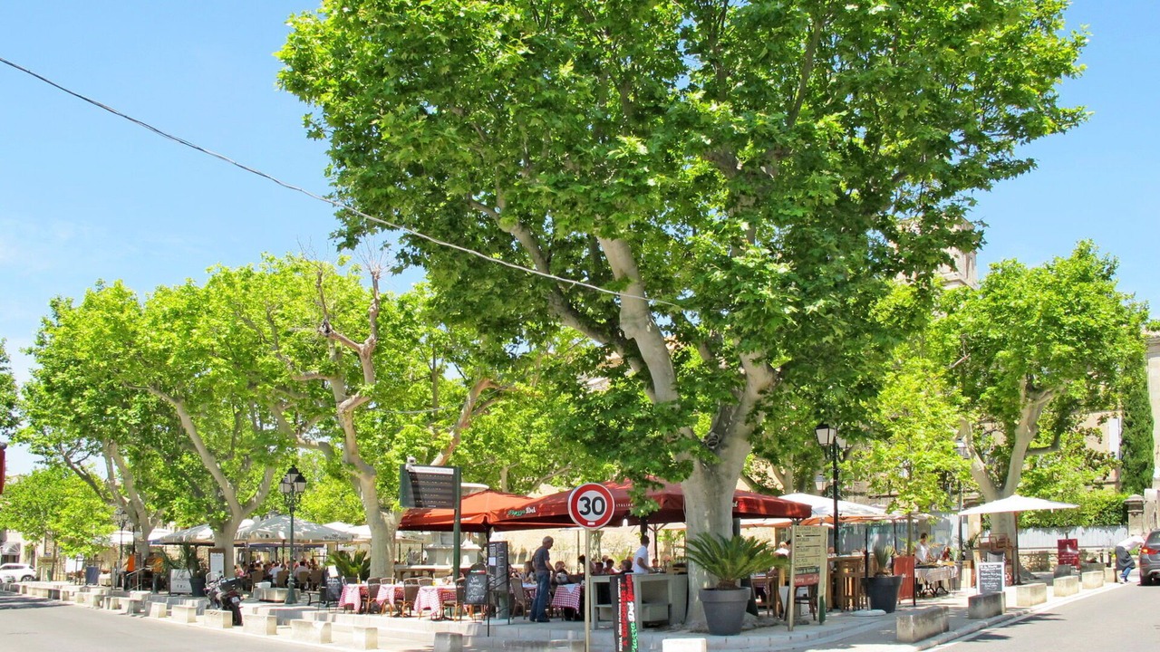 Photo of Others in Maussane