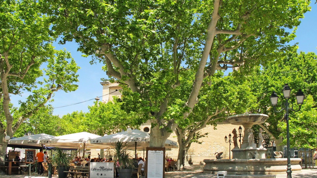Photo of Others in Maussane
