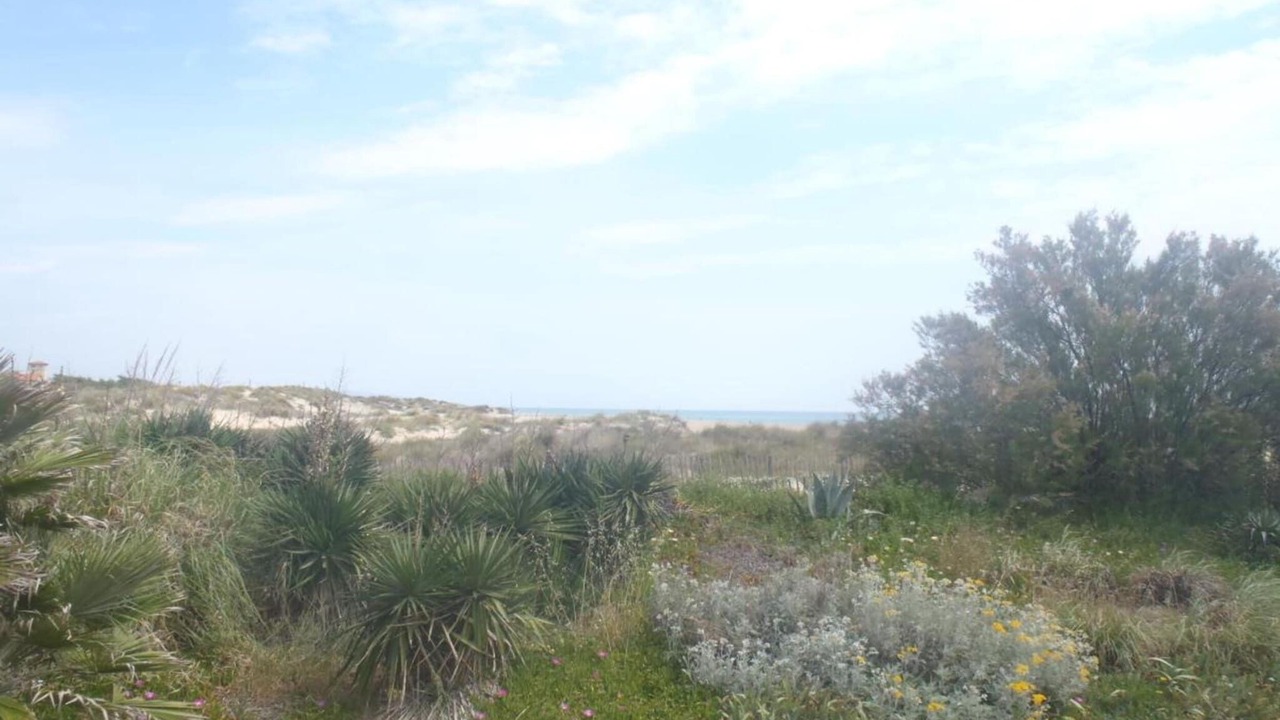 Photo of Others in Marseillan