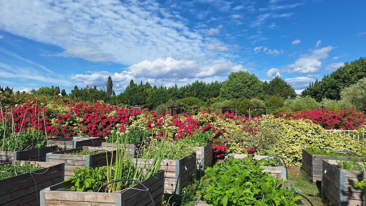 Photo of Outdoor in St.-Remy-de-Provence