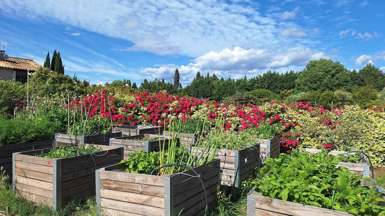 Photo of Outdoor in St.-Remy-de-Provence
