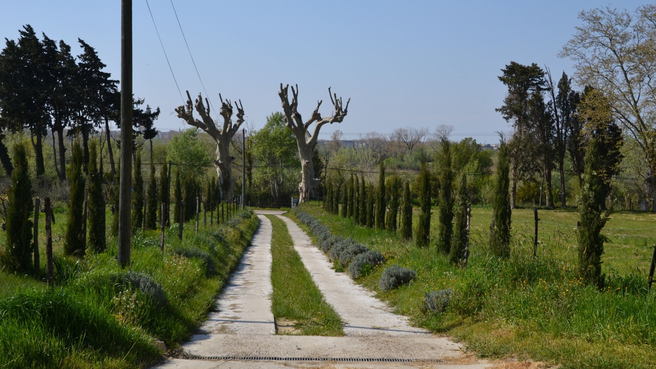 Photo of Outdoor in Arles