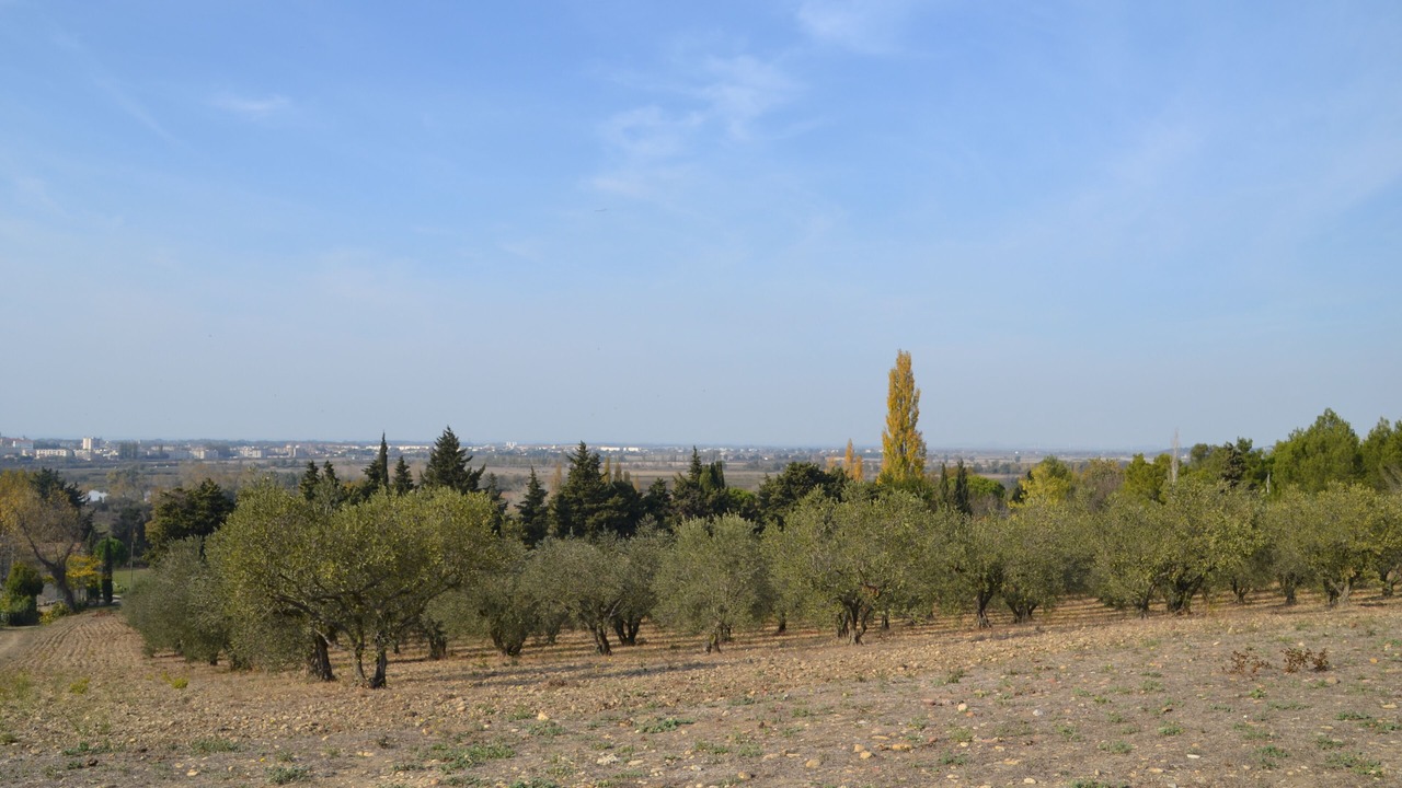 Photo of Others in Arles