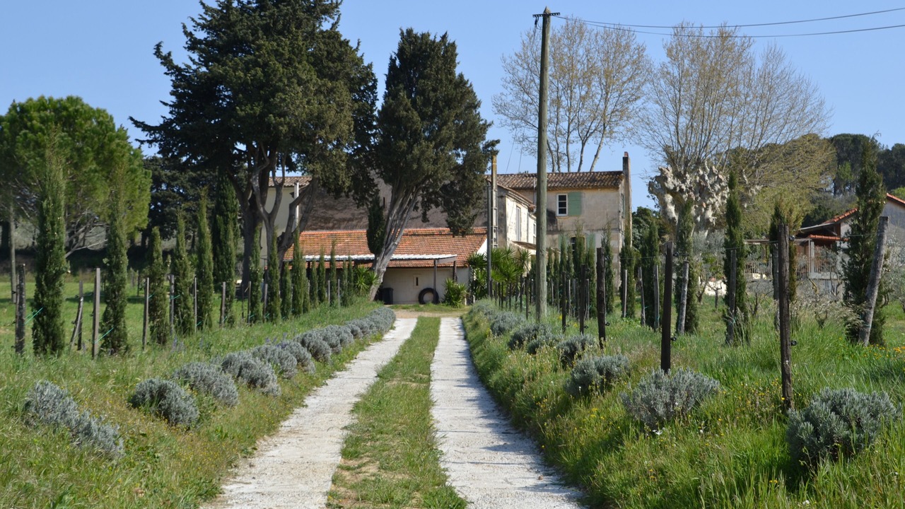 Photo of Outdoor in Arles