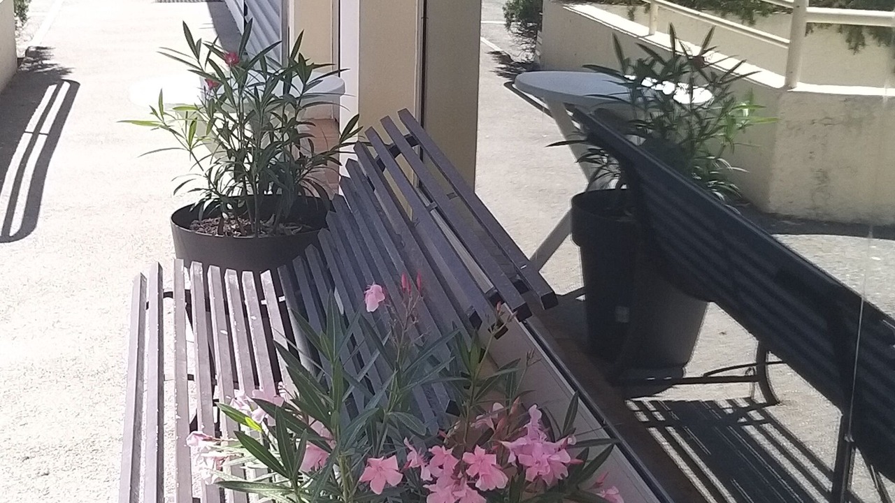 Photo of Outdoor in Saint-Aygulf