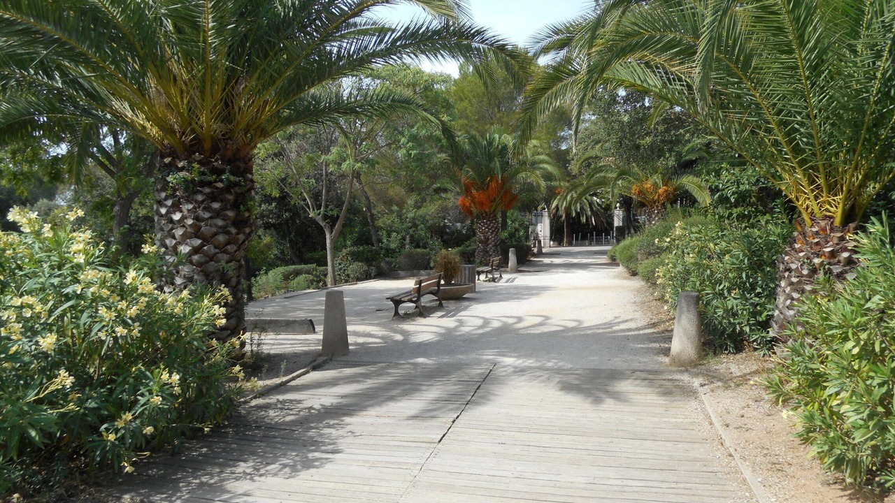 Photo of Outdoor in Saint-Aygulf