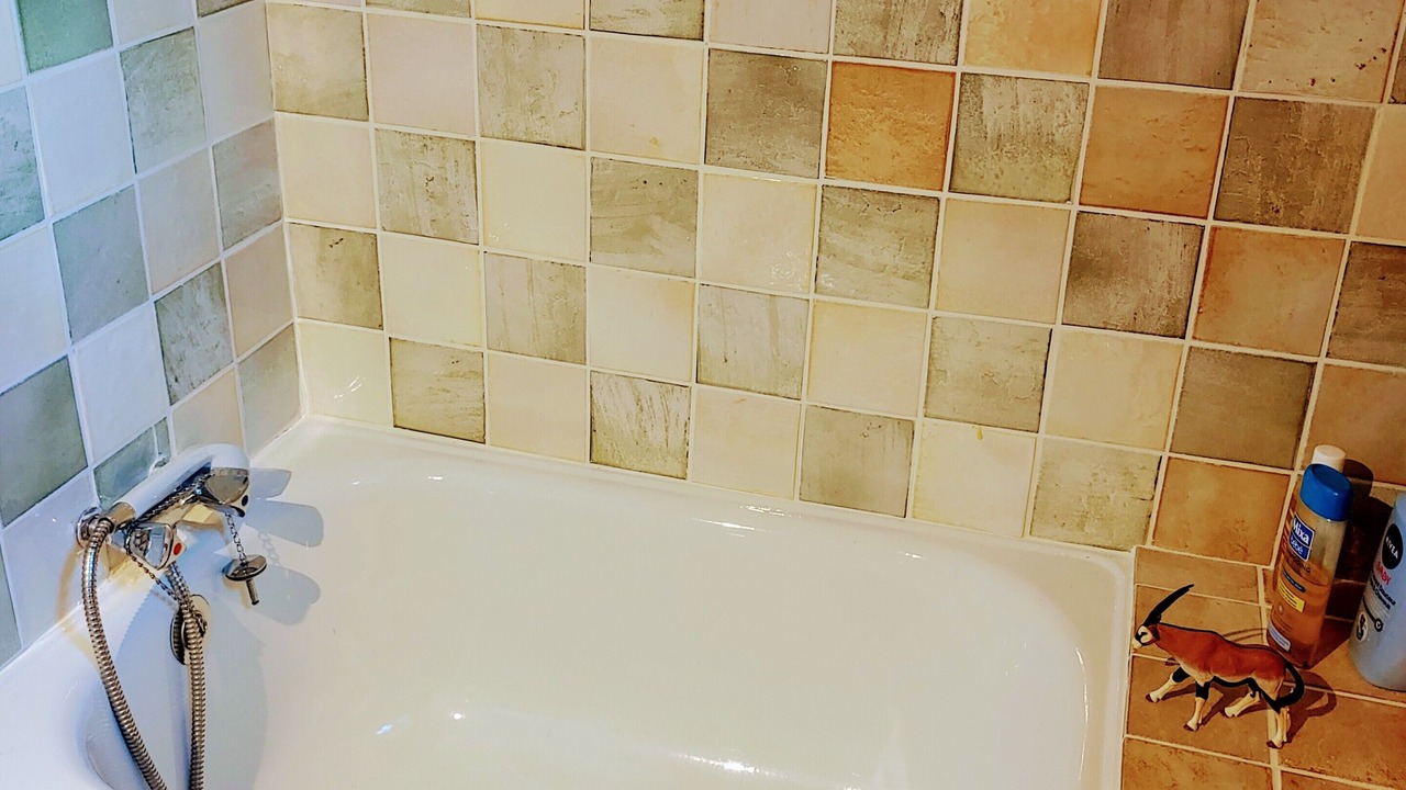 Photo of Bathroom in La Condamine-Chatelard