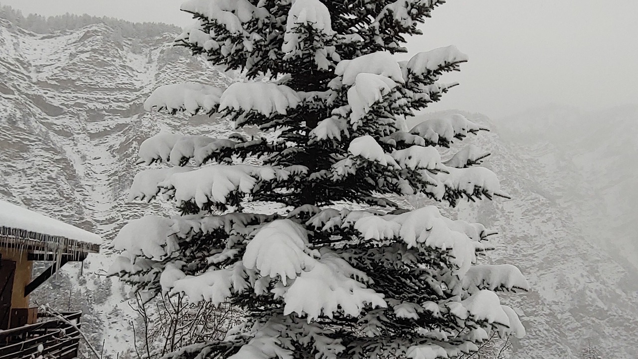 Photo of Outdoor in La Condamine-Chatelard