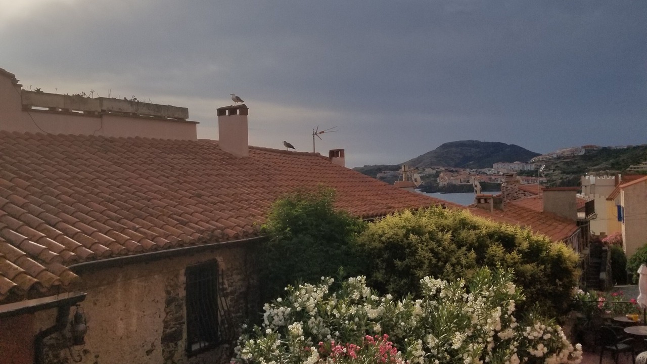 Photo of Outdoor in Collioure