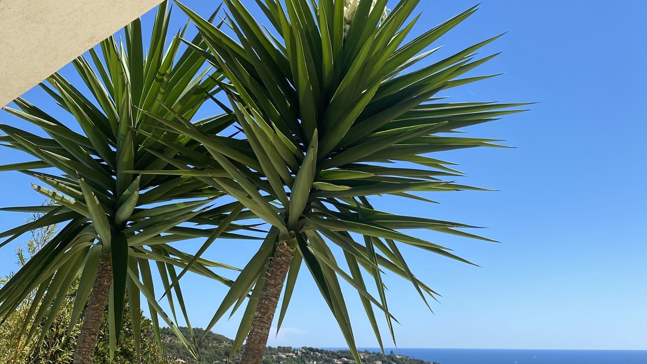 Photo of Outdoor in Cavalaire-sur-Mer