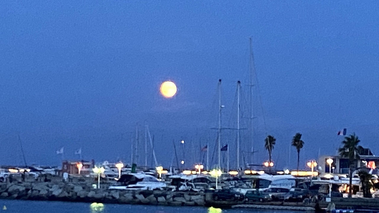 Photo of Others in Cavalaire-sur-Mer