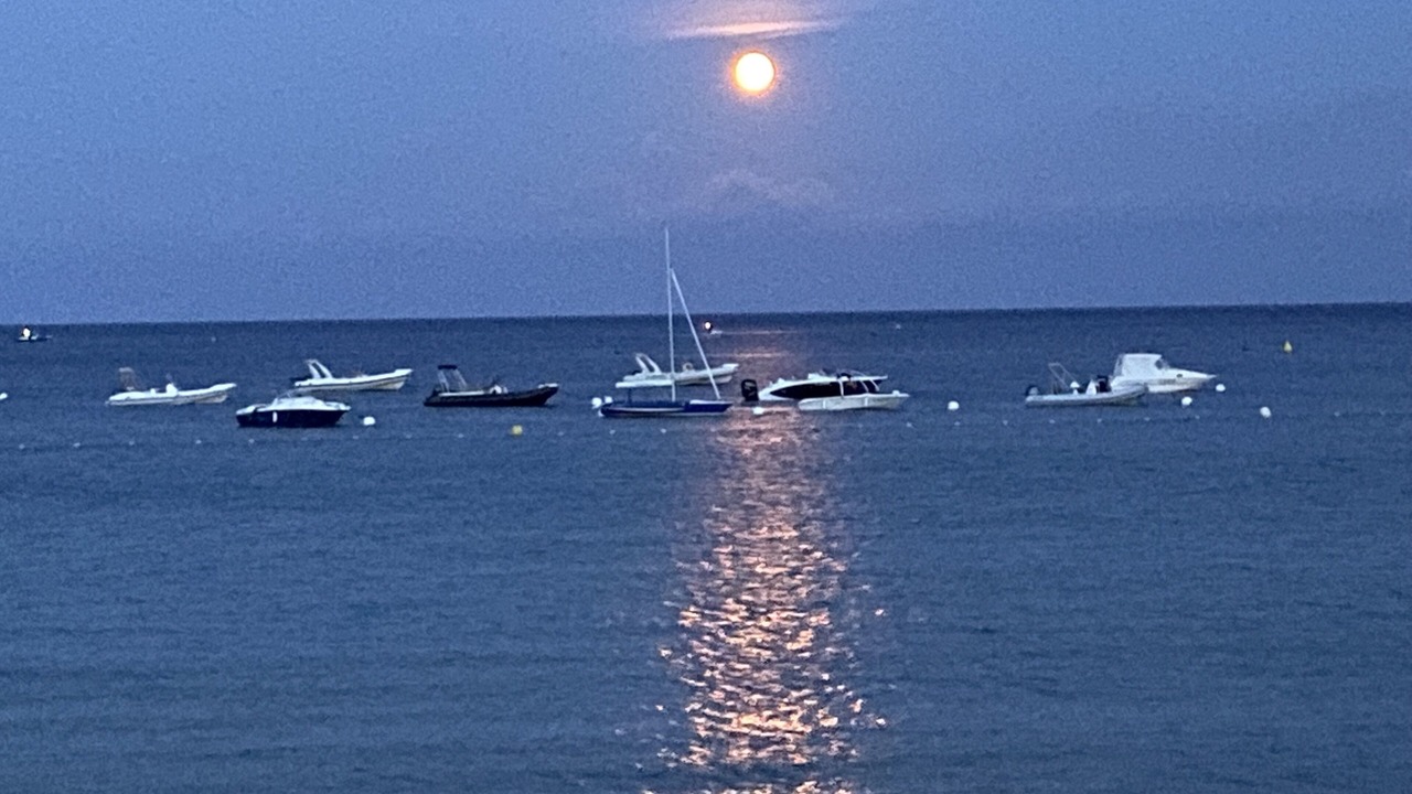 Photo of Others in Cavalaire-sur-Mer