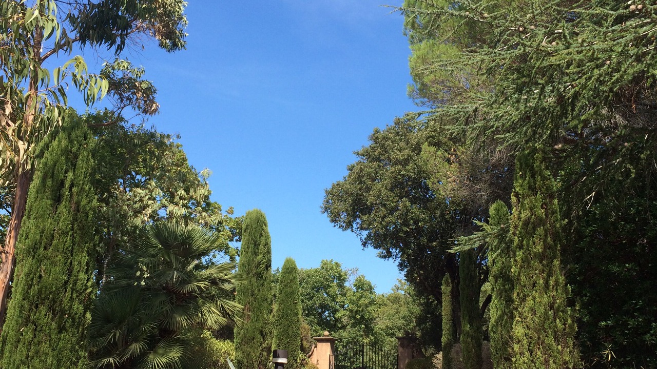 Photo of Outdoor in Gassin