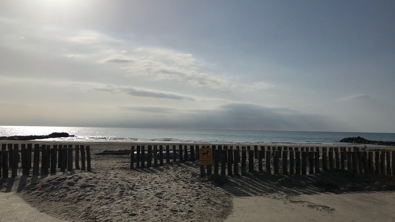 Photo of Others in Palavas-les-Flots