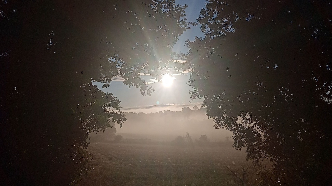 Photo of Outdoor in Monteils