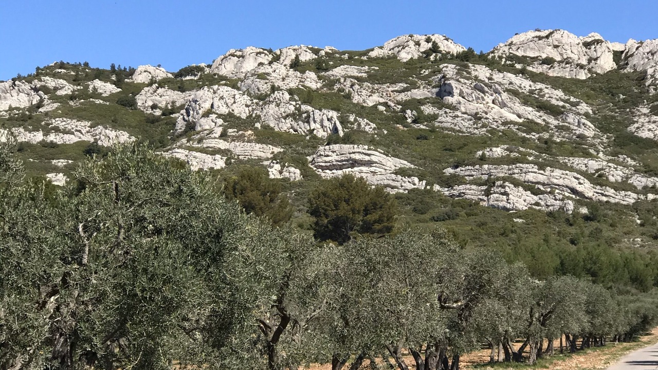 Photo of Others in Maussane