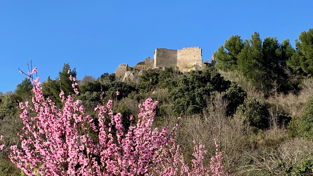 Photo of Outdoor in Vernegues