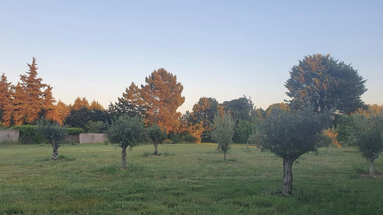 Photo of Others in Aix-en-Provence