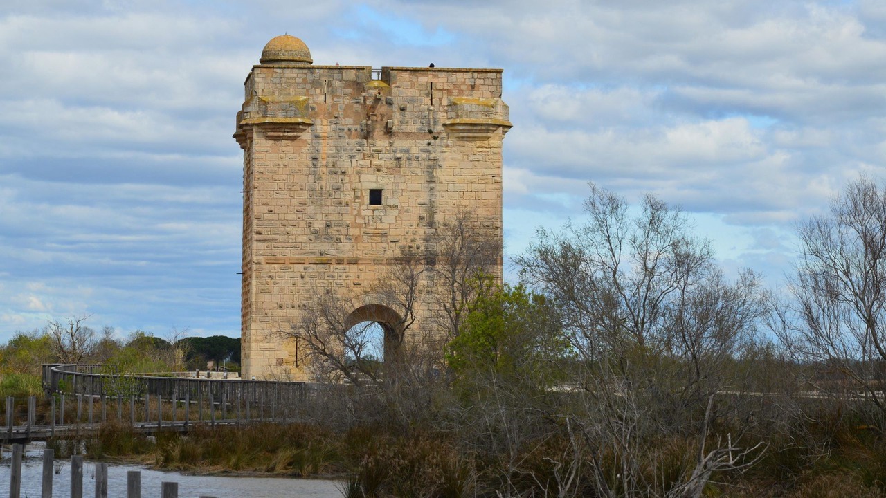 Photo of Others in Aigues-Mortes