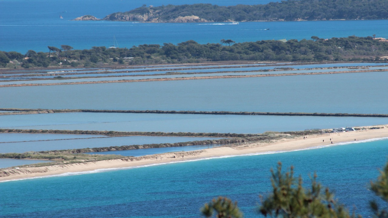 Photo of Others in Hyeres