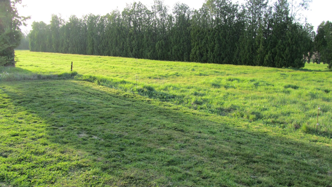 Photo of Outdoor in Cavaillon