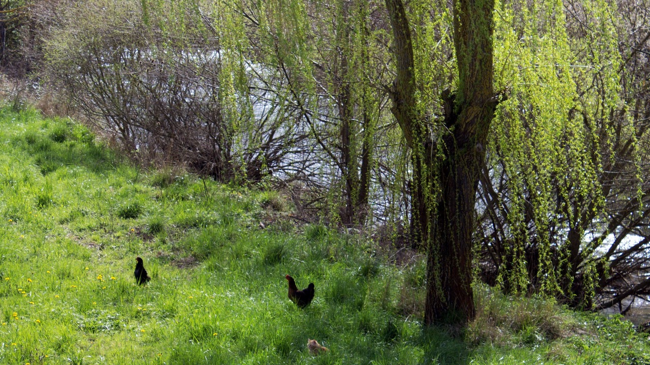 Photo of Outdoor in Marnhagues-et-Latour
