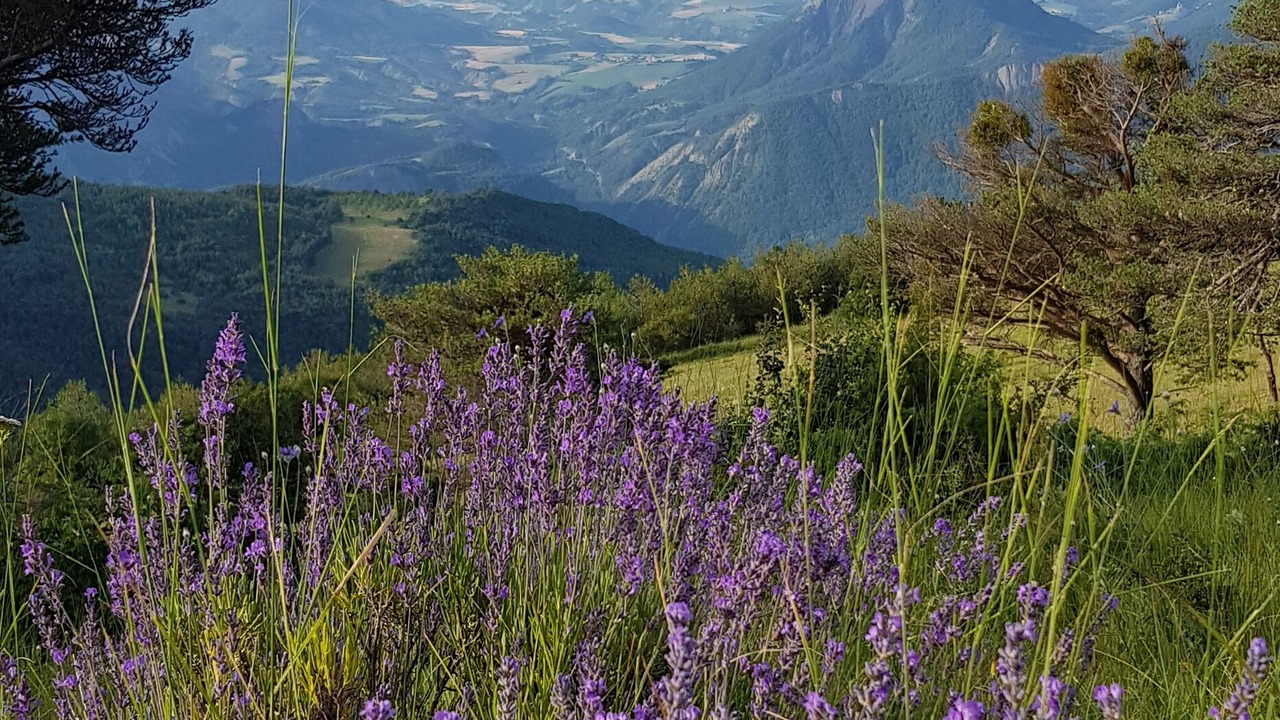 Photo of Outdoor in Theus
