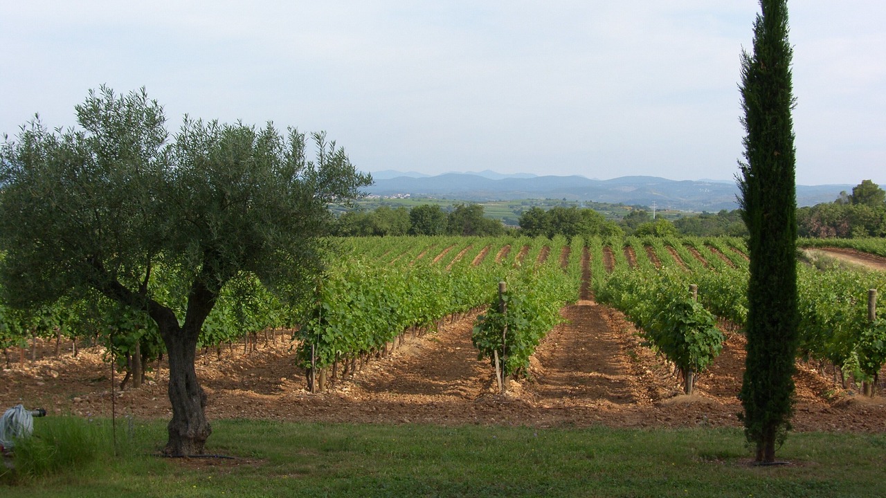 Photo of Outdoor in Tourbes