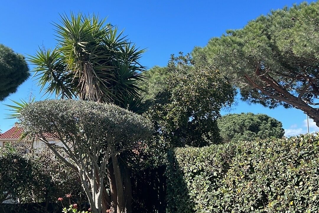 Photo of Outdoor in Canet-Plage