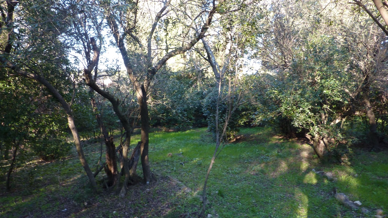 Photo of Outdoor in Mont Duplan