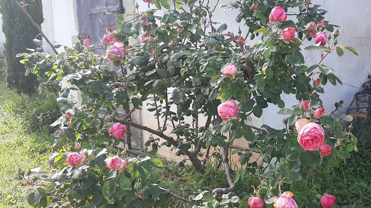 Photo of Outdoor in Saint-Quentin-la-Poterie