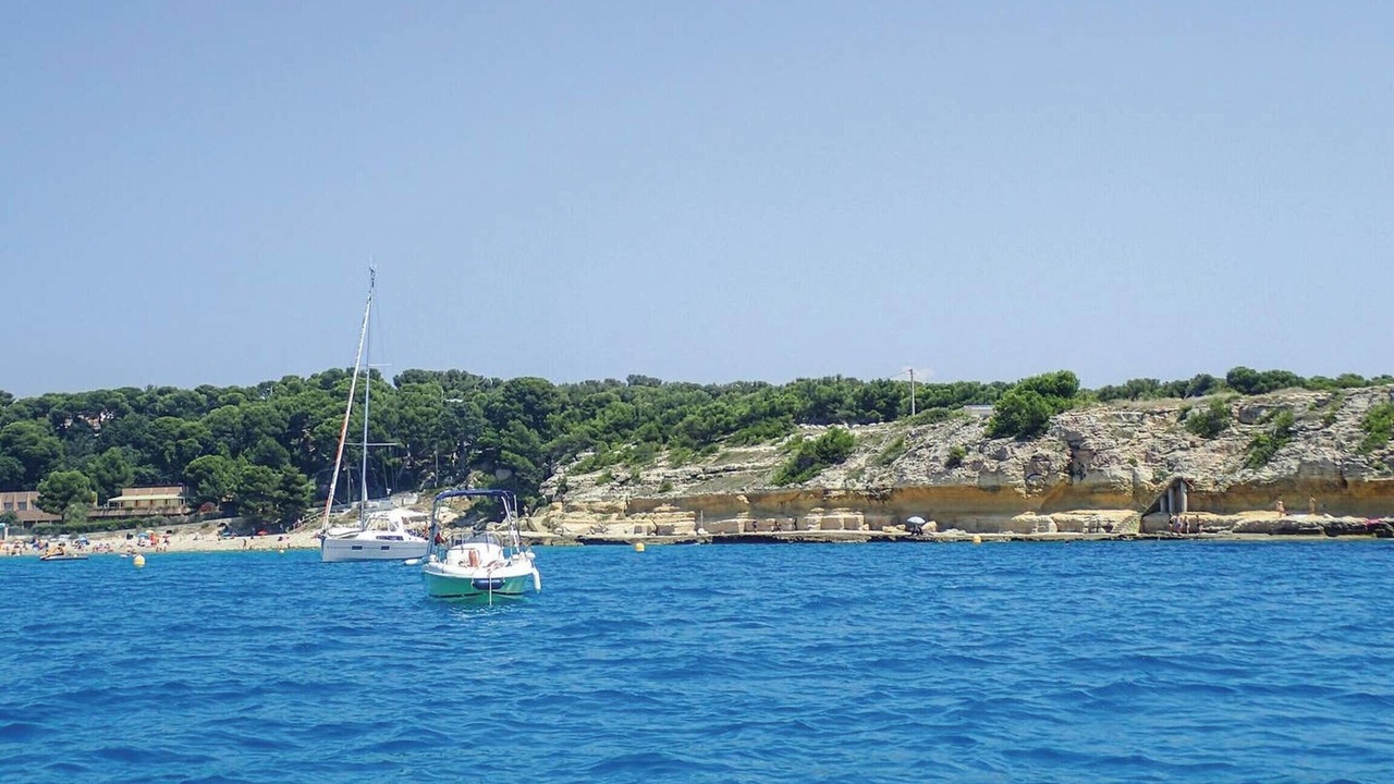 Photo of Others in Port-de-Bouc